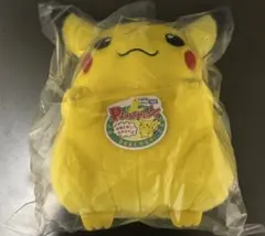 【新品】ポケモン30周年記念 おかえり!ピカチュウ1/1
