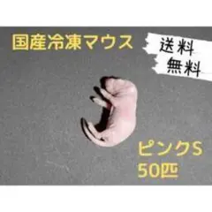 2025年最新】冷凍マウスの人気アイテム - メルカリ