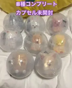 straykids スキズ　skzoo ライト マスコット　８種　コンプ ガチャ