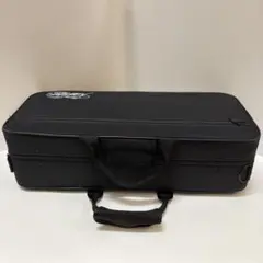 Item thumbnail for item 3f35ebb1-8b9c-4bd6-97ed-10f3dfc4746d