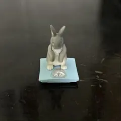 今日は何キロ？season2 タニタ×パンダの穴　ウサギ