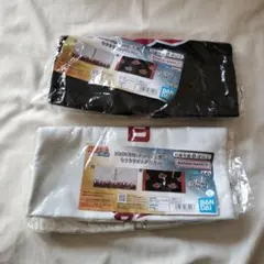 Item thumbnail for item b587645b-bc55-4d74-a3e1-6c6dba484d1c