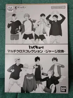 ハイキュー!! マルチクロスコレクション 夜久衛輔 ①