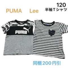 No458★半袖Tシャツ 120cm 2枚セット PUMA Leeのサムネイル