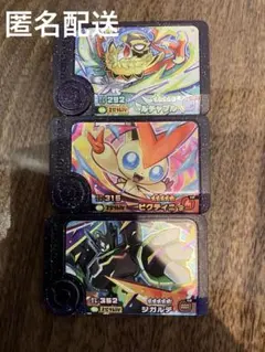 ポケモンフレンダ　ビクティニ　ジガルデ　ルチャブル