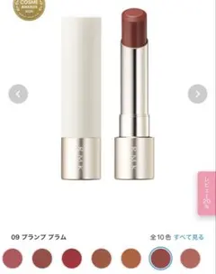 RMK デューイーメルト　リップカラー　★ケース付き★09番　プランププラム