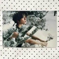 TXT / ボムギュ / ポストカード