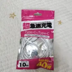 Type-C to Type-C USBケーブル 40W 1.0m