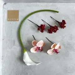 （No.38）カラー　胡蝶蘭　白　ピーチ