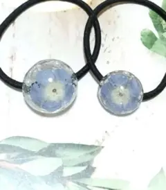 Item thumbnail for item 4db48eeb-f455-4a2a-826c-061bb55bb499