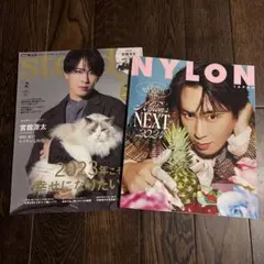 宮舘涼太 表紙 雑誌 steady NYLON JAPAN 2冊セット