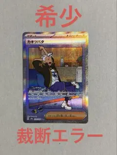 カキツバタ SAR SV8a テラスタルフェスex 229/187 エラーカード