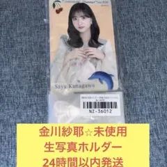 金川紗耶　未使用　生写真　チケット　ホルダー　真夏の全国ツアー　乃木坂46