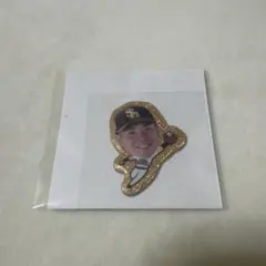 福岡ソフトバンクホークス グリッターシール 近藤健介 選手