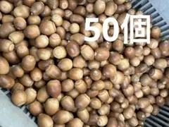 Item thumbnail for item c7e0be6c-ed98-45f0-95f2-d5cc49c25209