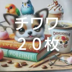 NO.10 パネル生地12枚 ☆全部チワワ18cm✕18cm