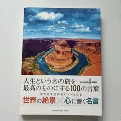 こぶたちゃん☆様 リクエスト 2点 まとめ商品