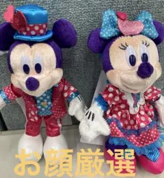 ディズニー　パルパルーザ　ミニーのファンダーランド　ぬいば　ミッキー　ミニー