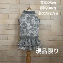 Item thumbnail for item 79a0bcc9-a1d8-4fb6-99cc-2c144e0398c4