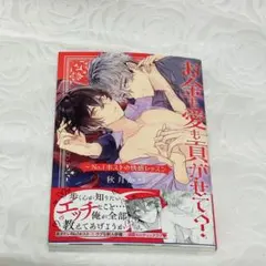 【最終値下げ】商業BL【即日発送】