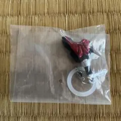 仮面ライダー めじるしアクセサリー5 ブーストバックル