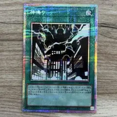 遊戯王　カード　神鳴り　プリシク