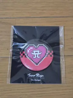 浜崎あゆみ Team Ayu 缶バッジ ハート型 ピンク