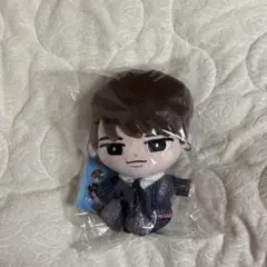 すのチルぶら下がらないシリーズ(BIGぬいぐるみver.)渡辺翔太