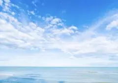 高品質　ネックレスピアスセット