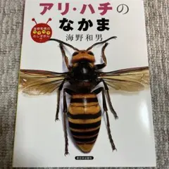 Item thumbnail for item 2463eb2a-7673-4dce-a7db-147fe450deeb