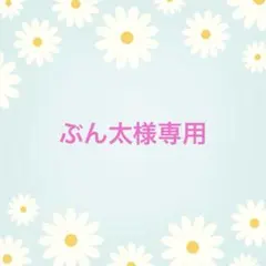 ぶん太様専用ページ