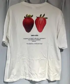 【ZARA】Tシャツ