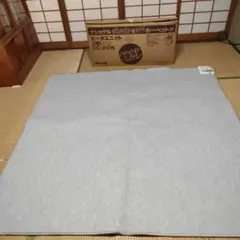 ナショナル ぽかぽか「着せかえ」カーペット用 ヒータユニット