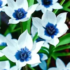 ROTAN様 リクエスト 3点 まとめ商品