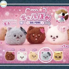 ギャルぽめ カプセルトイ 姉ギャル