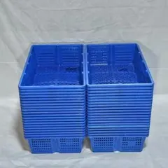ボトルコンテナトレー12枚セット青 昆虫 カブクワサンコー【頑丈タイプ
