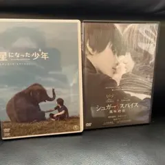柳楽優弥　主演　2作品　DVD