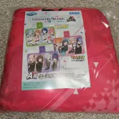 プロセカ　セガラッキーくじ A賞　ケース付きタオルケット　ビビバス