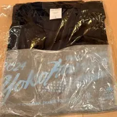 Item thumbnail for item 55415924-d0db-4e91-aae8-810539a5b737