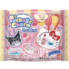 サンリオ　パッケージチャーム