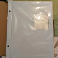 Item thumbnail for item c6a17a06-6b1b-4b20-b3a8-234356c4932d