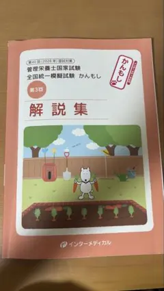 2026年最新】模試解答解説の人気アイテム - メルカリ