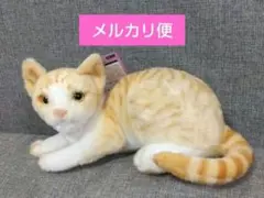リアルアニマル 猫のサムネイル