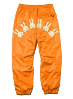 Item thumbnail for item 0fefa5e0-955c-4d8c-8015-743a3ad8d9fa