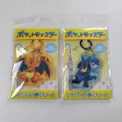 ポケモンメガリザードンX・Y 缶バッジ 未開封 セット割引可能 - メルカリ