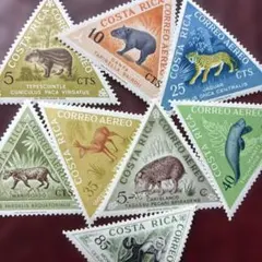 TJ様 リクエスト 4点 まとめ商品