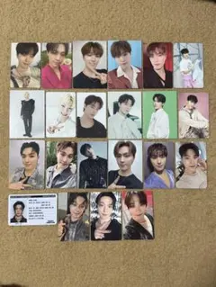 SEVENTEEN ディノ トレカ 22枚セット