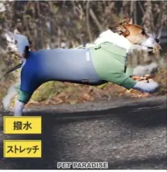 PET PARADISE ペットパラダイス　ボディガード グレー DSサイズのサムネイル