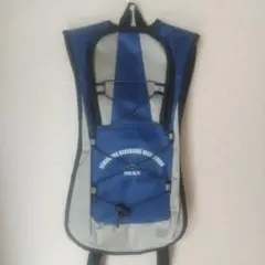 Item thumbnail for item 0bbb42b1-b65f-4360-87a1-2549452637bb