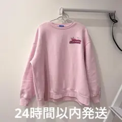 ディズニーランド ミニパル トレーナー